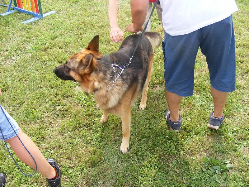 DSCF1227.JPG