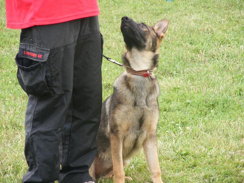 DSCF1282.JPG