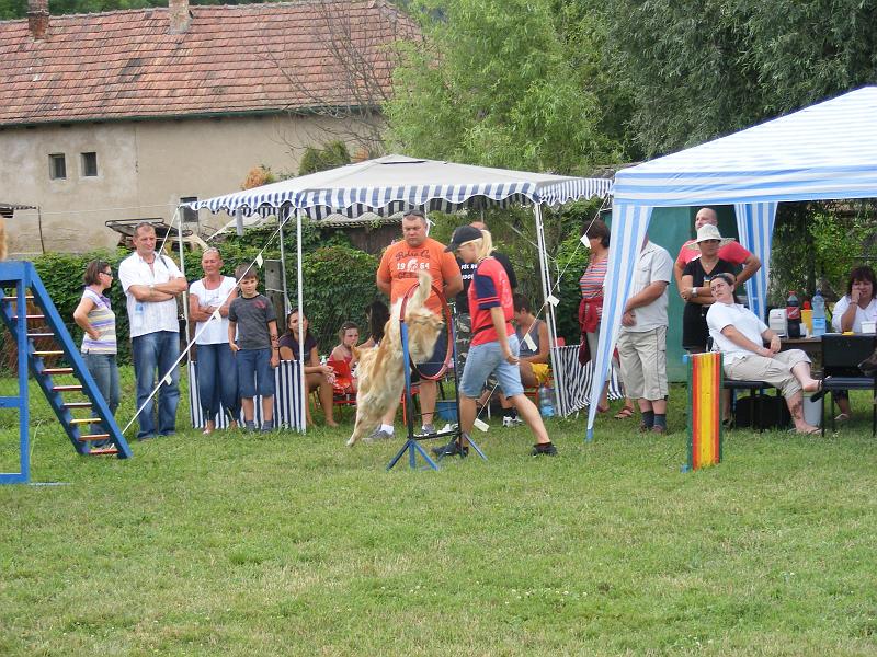 DSCF1289.JPG