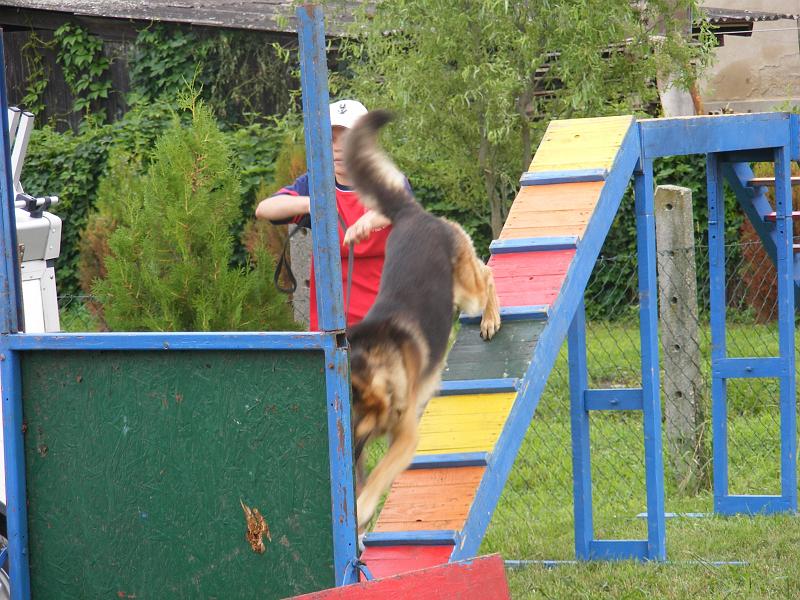 DSCF1292.JPG