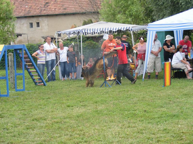 DSCF1294.JPG