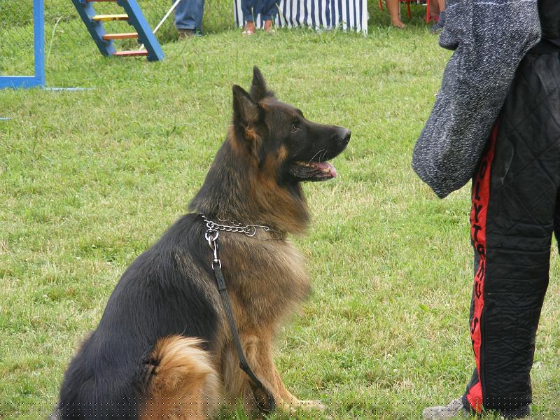 DSCF1315.JPG