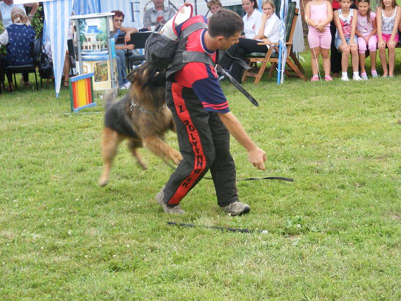 DSCF1316.JPG
