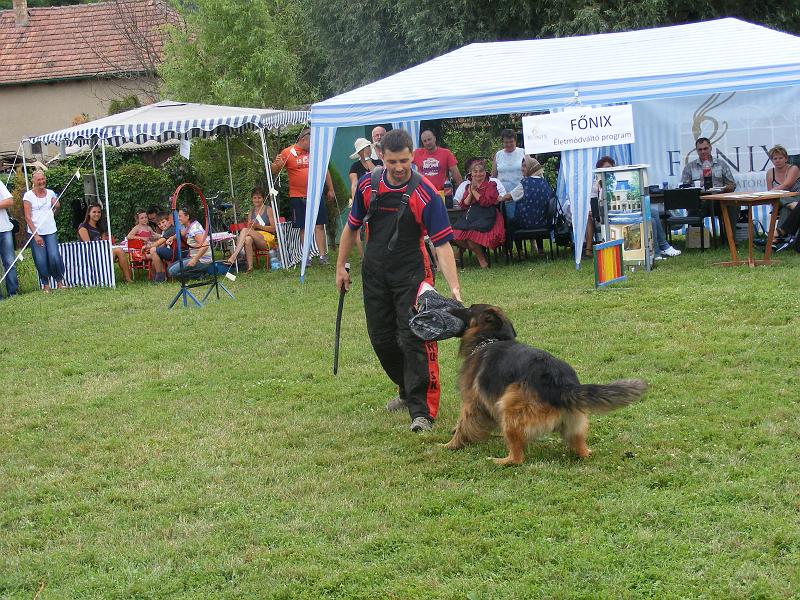 DSCF1318.JPG
