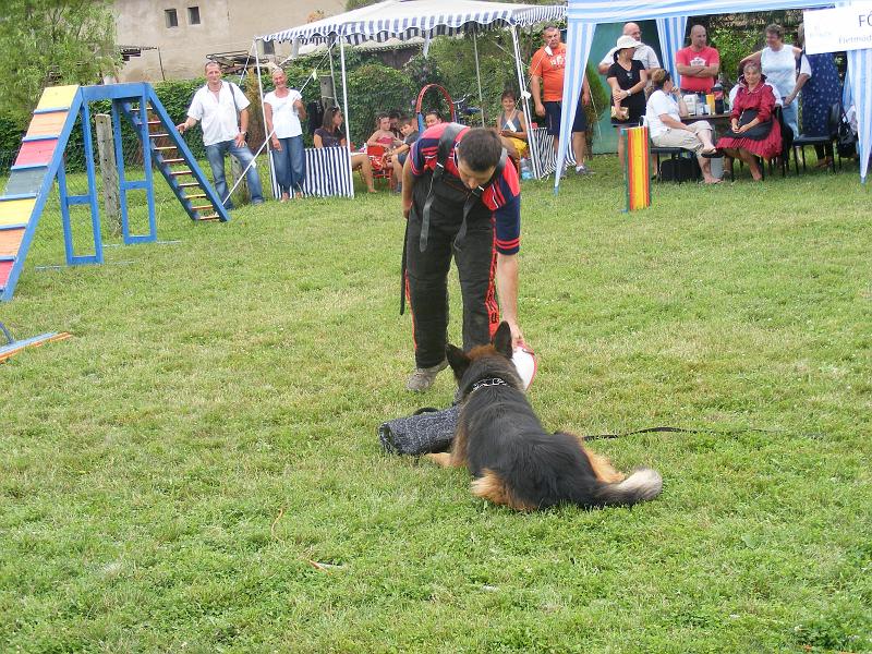 DSCF1319.JPG