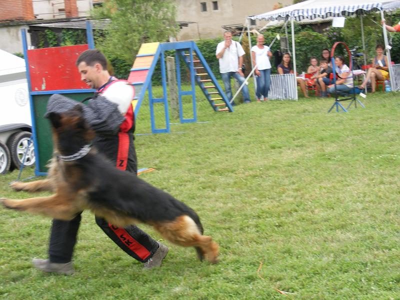 DSCF1320.JPG