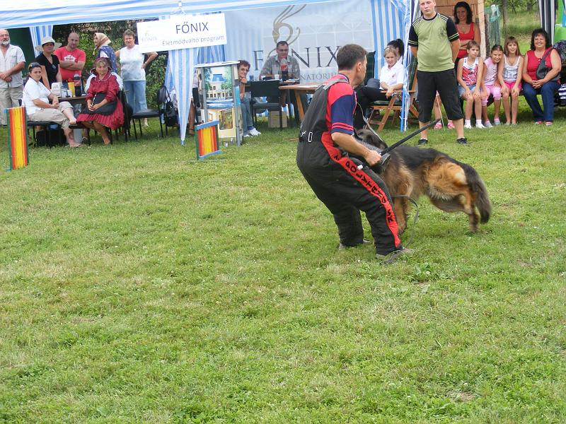 DSCF1321.JPG