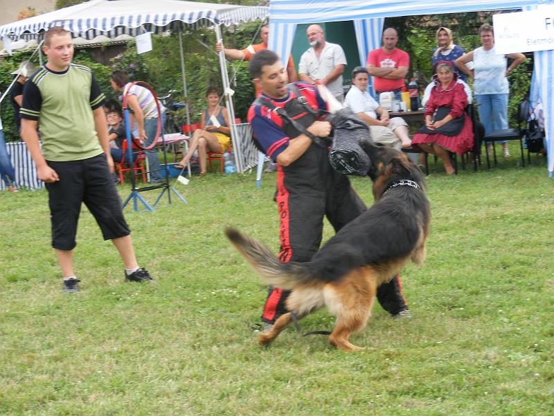 DSCF1324.JPG