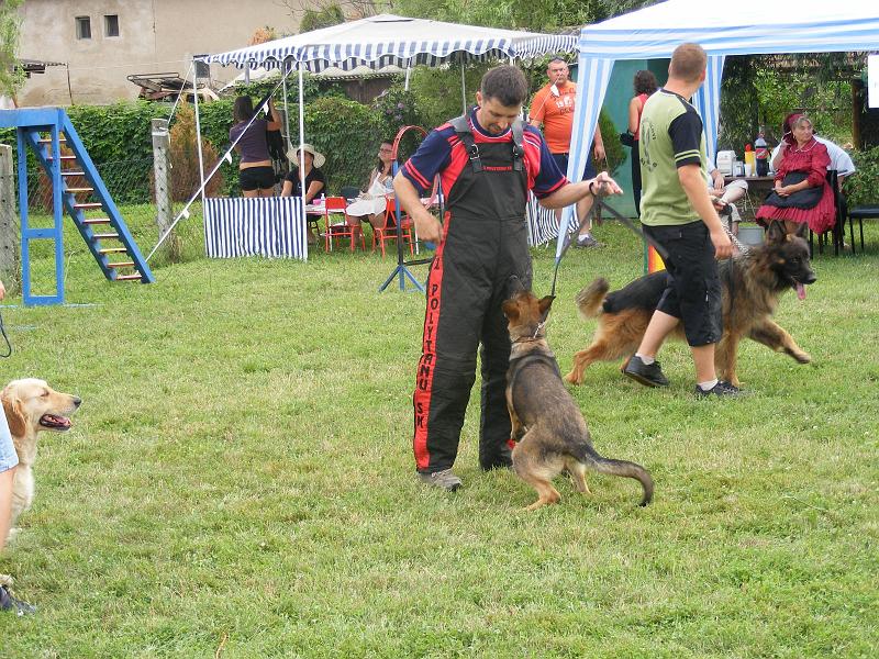 DSCF1343.JPG