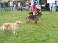 DSCF1272