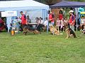 DSCF1287