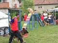 DSCF1291