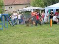 DSCF1294