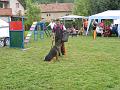 DSCF1313
