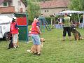 DSCF1342