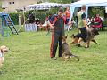DSCF1343