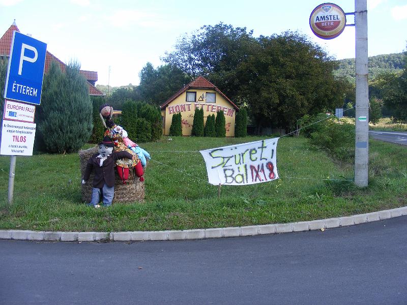 DSCF0001.JPG