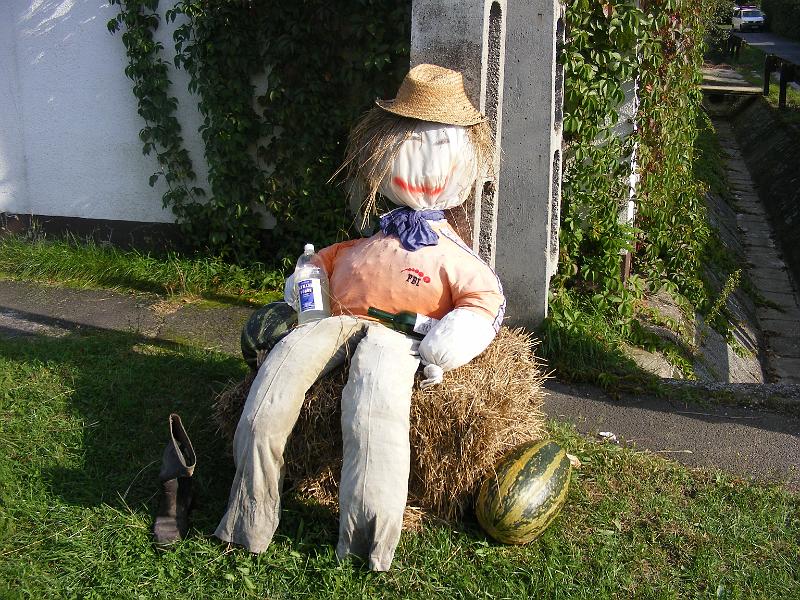 DSCF0111.JPG