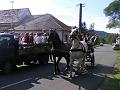 DSCF0019