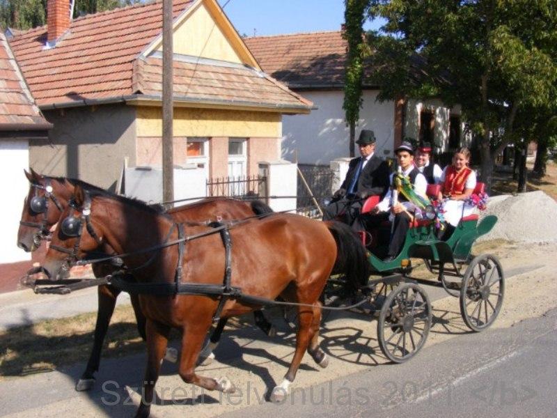 Image_1.jpg