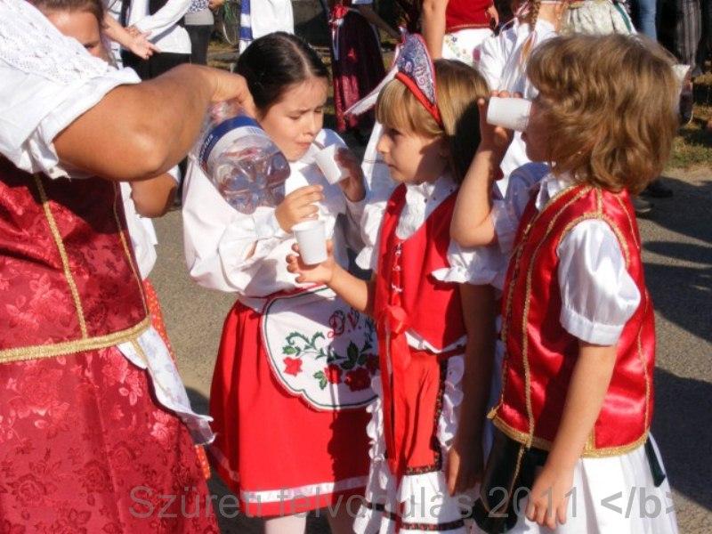 Image_171.jpg