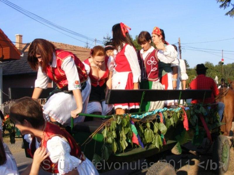 Image_267.jpg