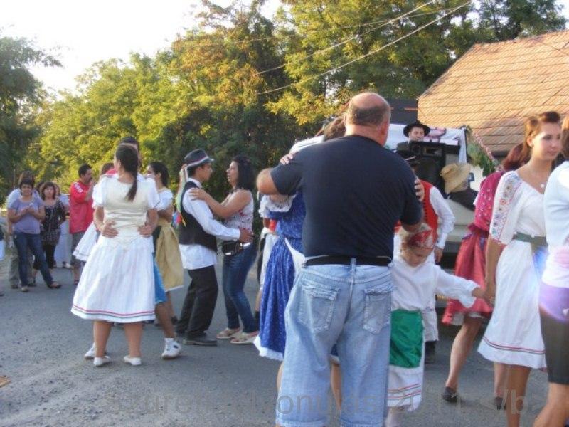 Image_365.jpg